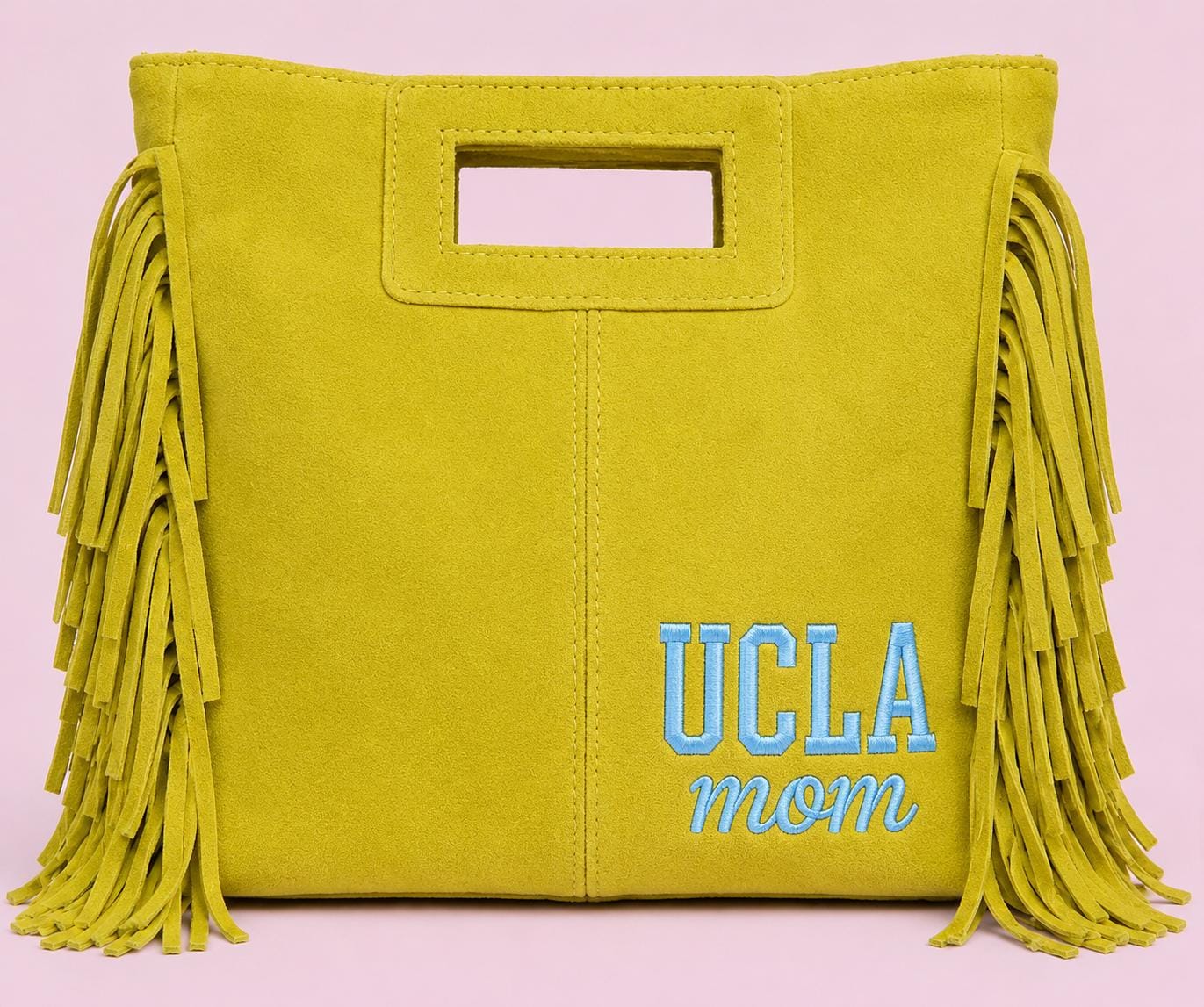 Fringed Seude Crossbody or Clutch College Colors