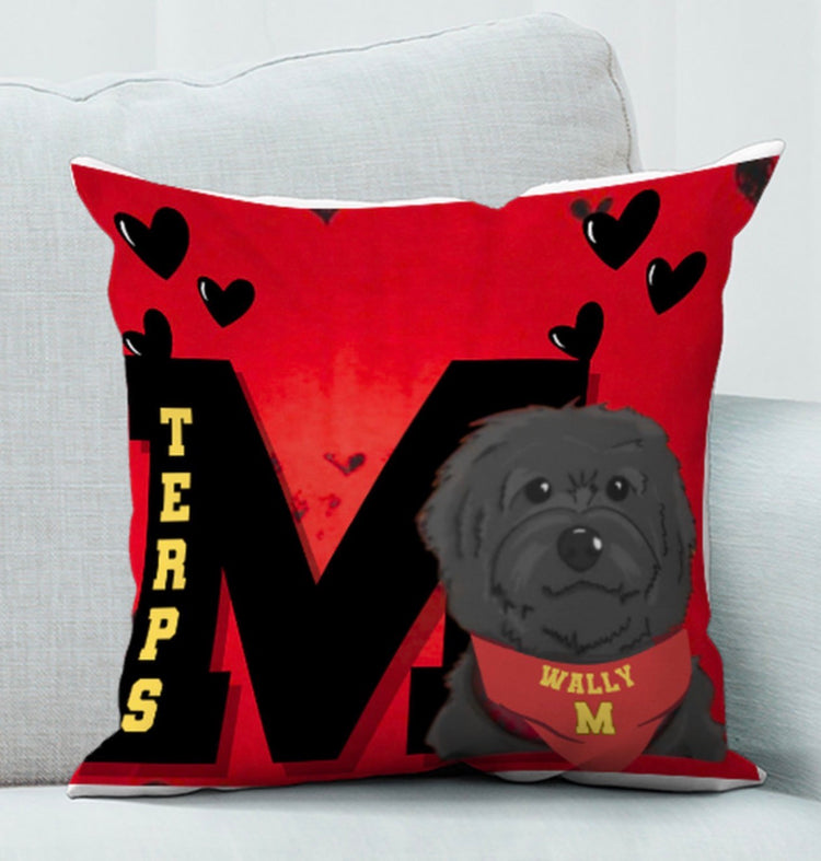 PILLOWS & BLANKETS