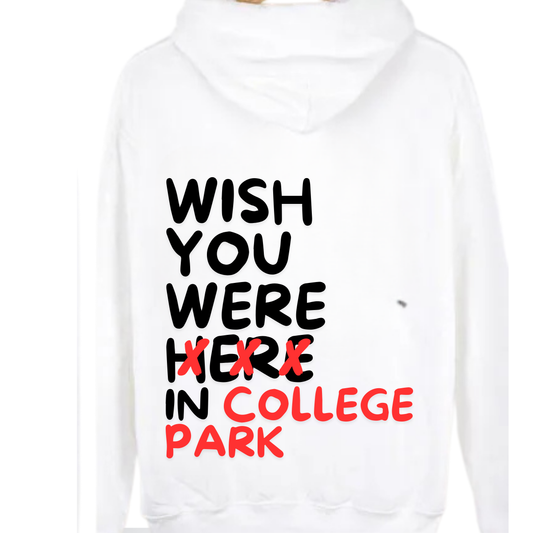WISH YOU WERE HERE hooded oversized sweatshirt