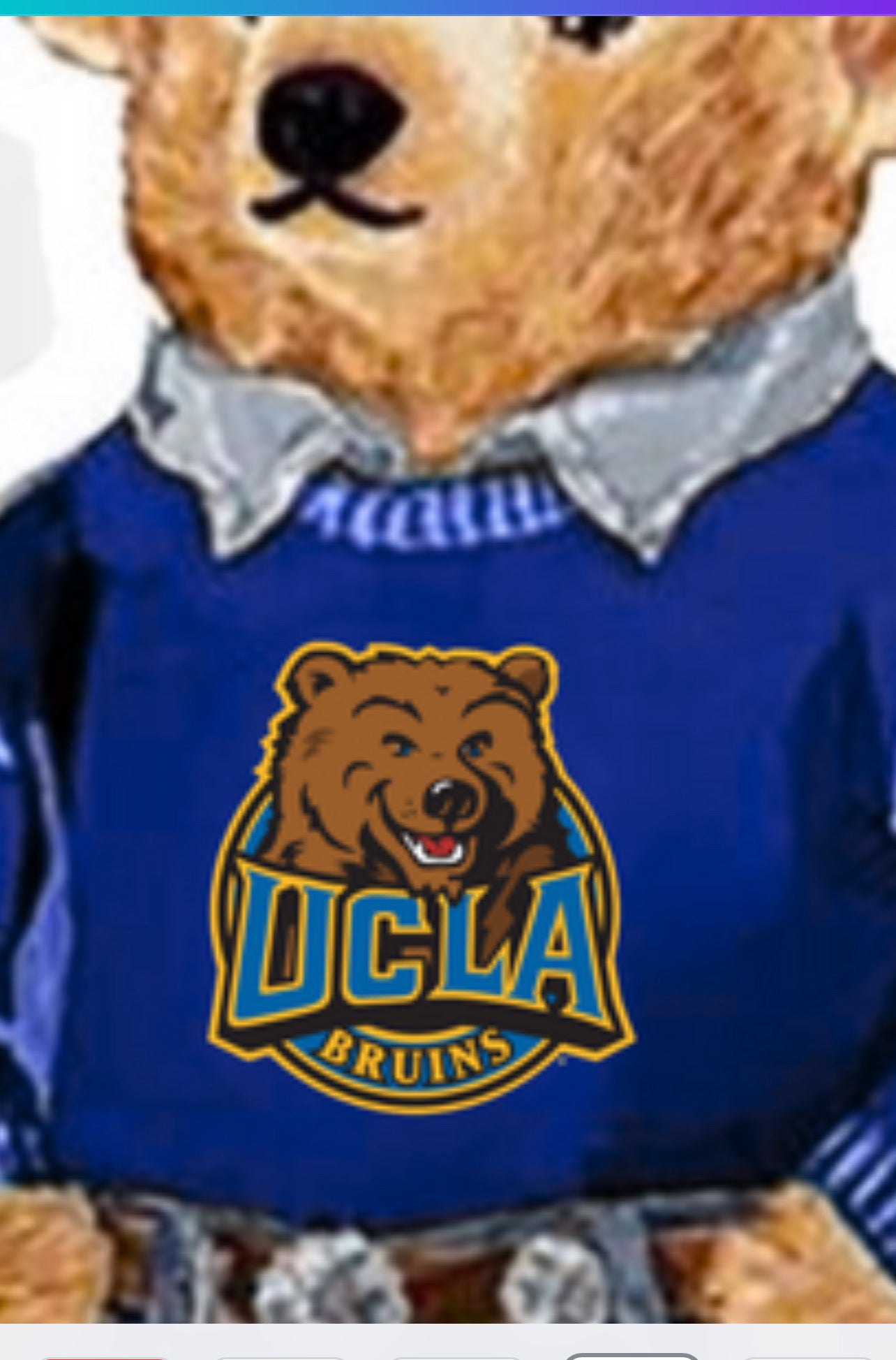 CUSTOM COLLEGE POLO BEAR SWEATSHIRT OR TEE