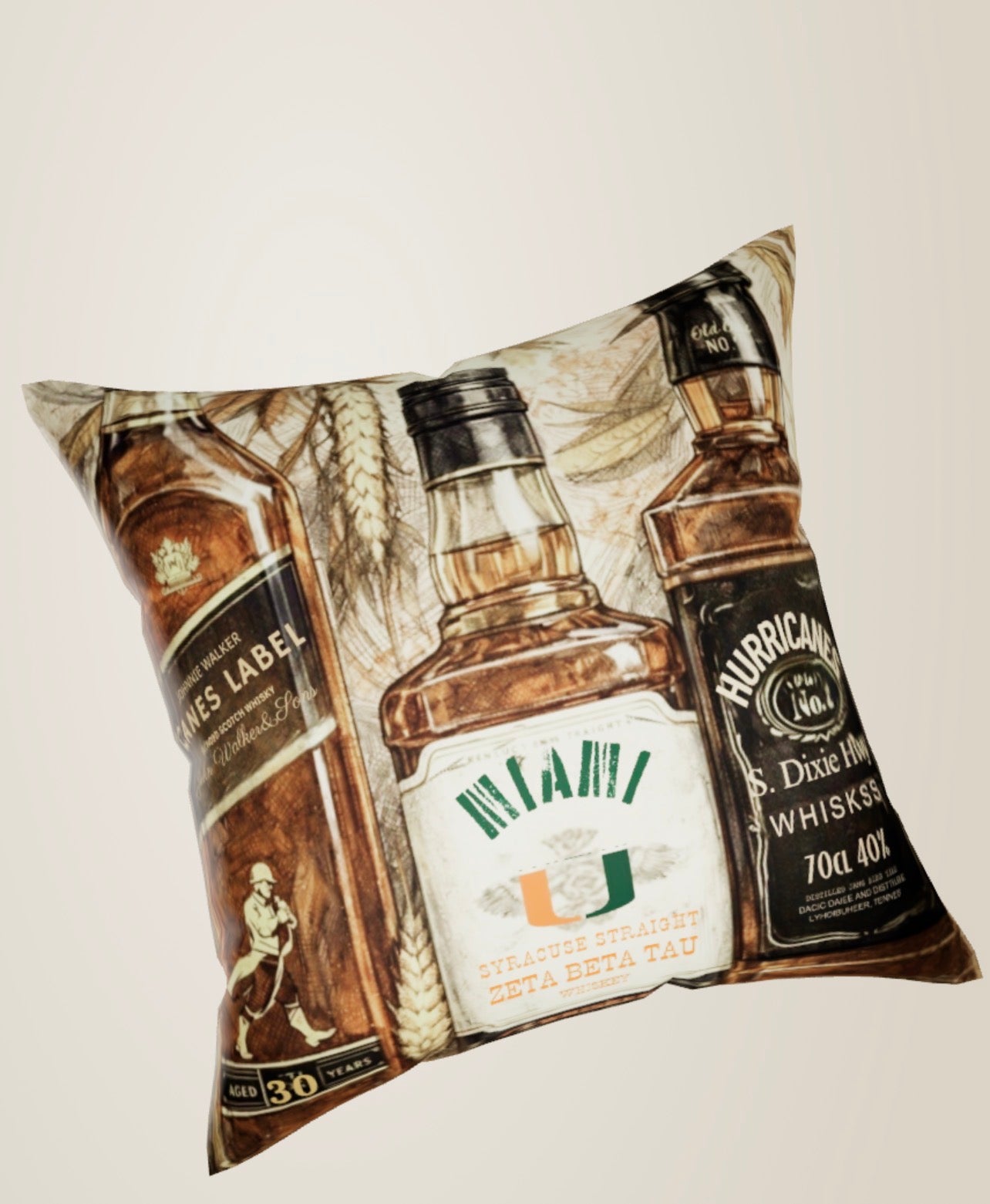 Custom Custom Dorm pillows/ Dorm Decor and Graduation- Fully Customizable add name, college, grad year or upload your own design