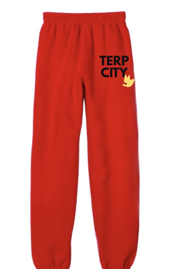 COLLEGE CITY  sweatpants