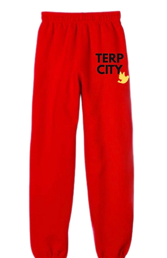 COLLEGE CITY  sweatpants