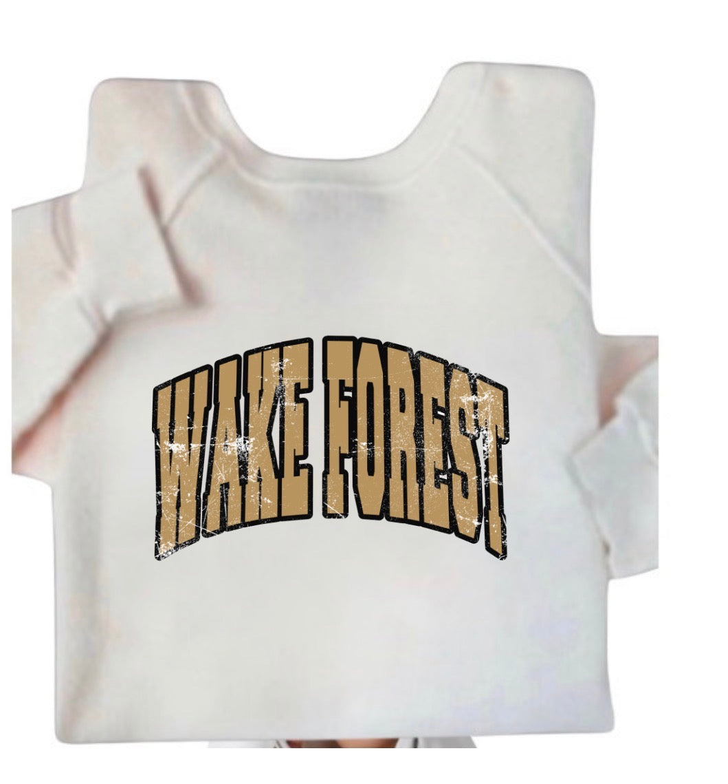 College Name Vintage crewneck Sweatshirt