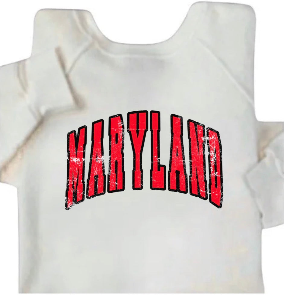 College Name Vintage crewneck Sweatshirt
