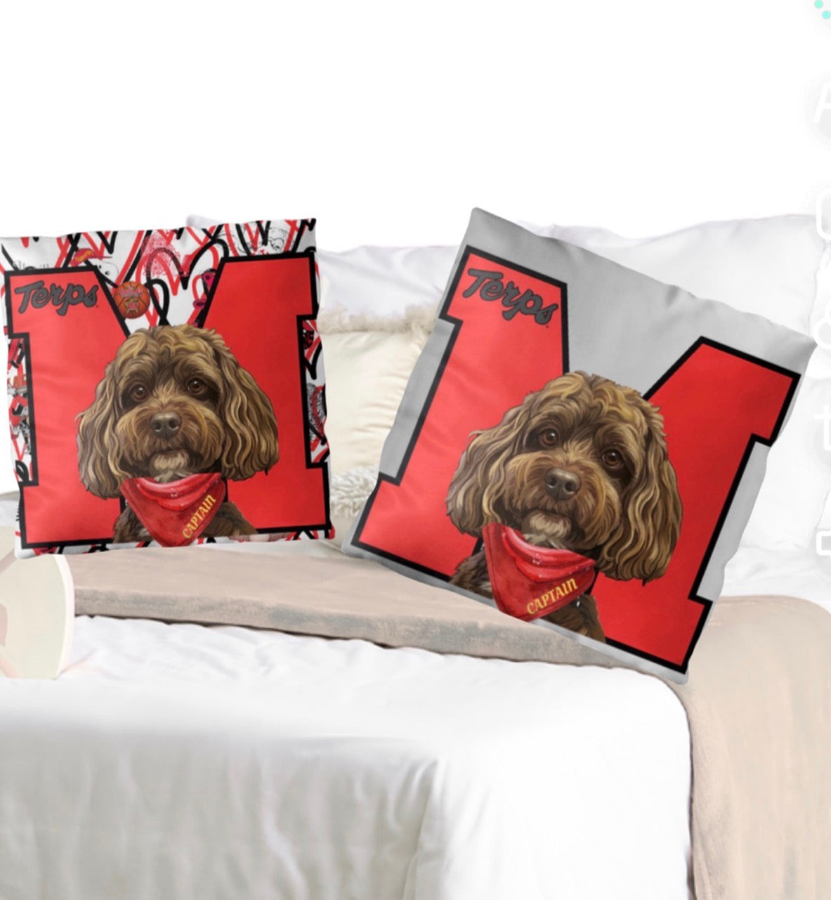 Custom Custom Dorm pillows/ Dorm Decor and Graduation- Fully Customizable add name, college, grad year or upload your own design