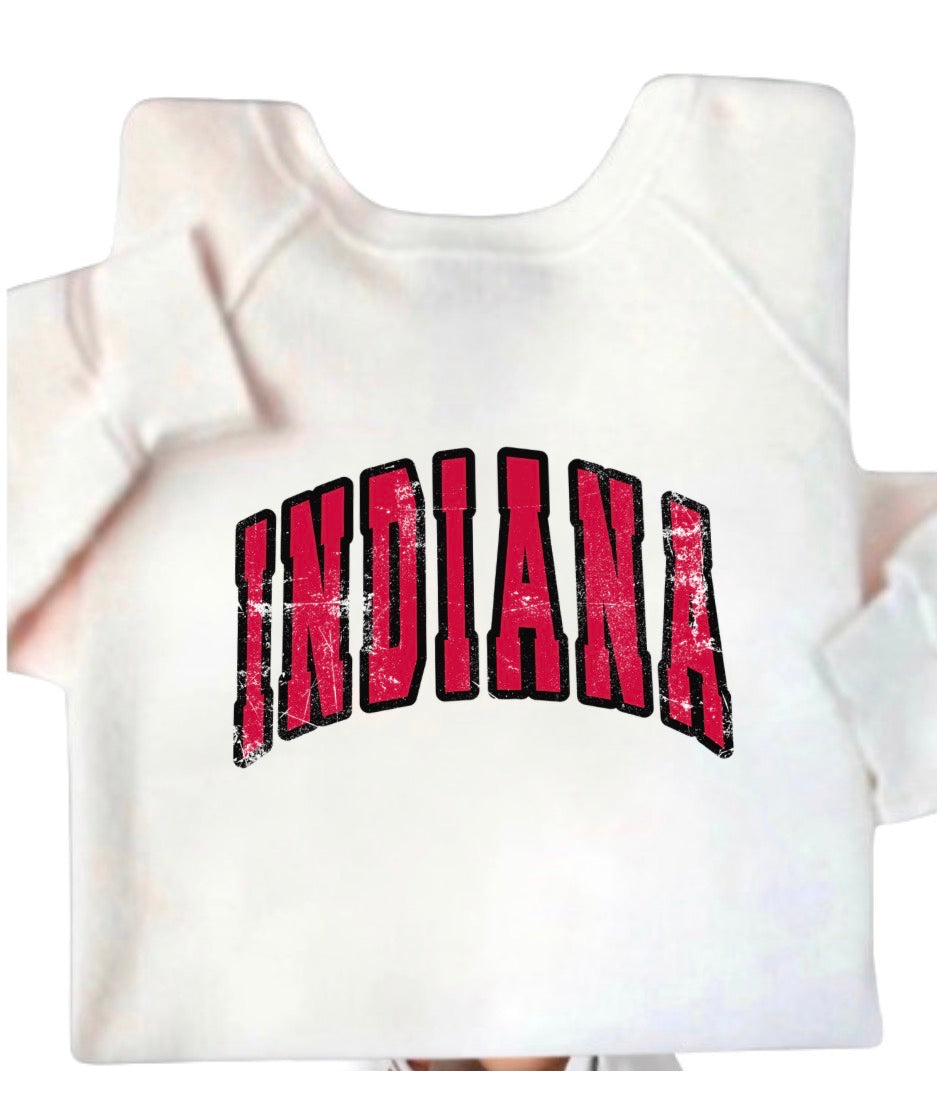College Name Vintage crewneck Sweatshirt